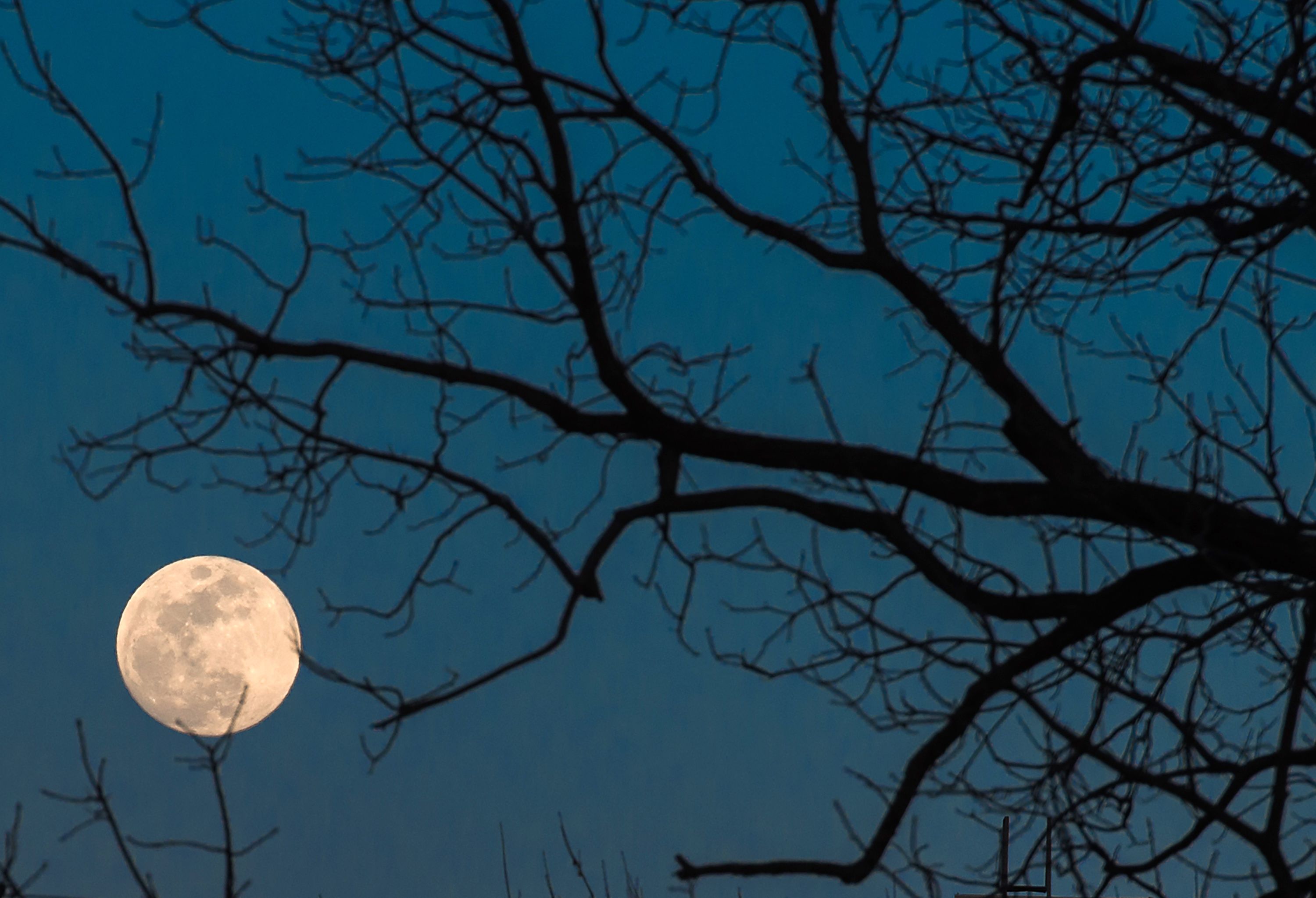 ? SuperLuna plină roz pe cerul României