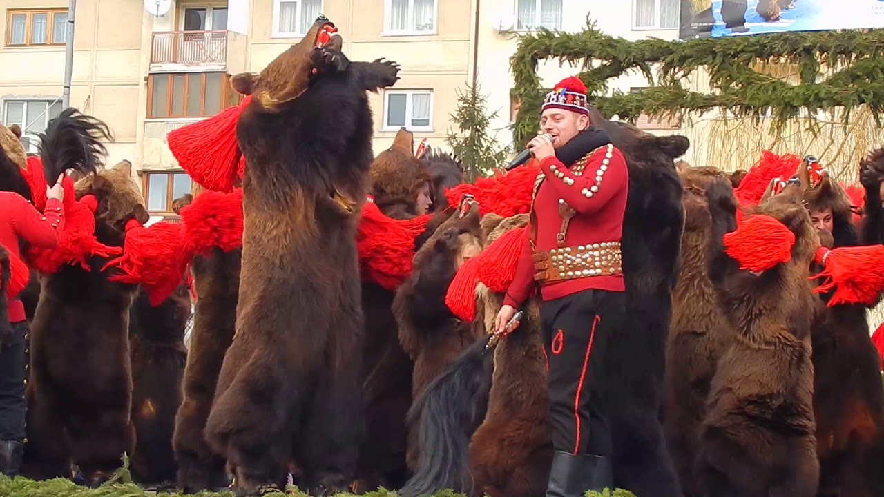 (VIDEO) Ursul din Asău a câştigat marele trofeu la ediţia din acest an a Festivalului de Datini şi Obiceiuri Strămoşeşti din Comăneşti