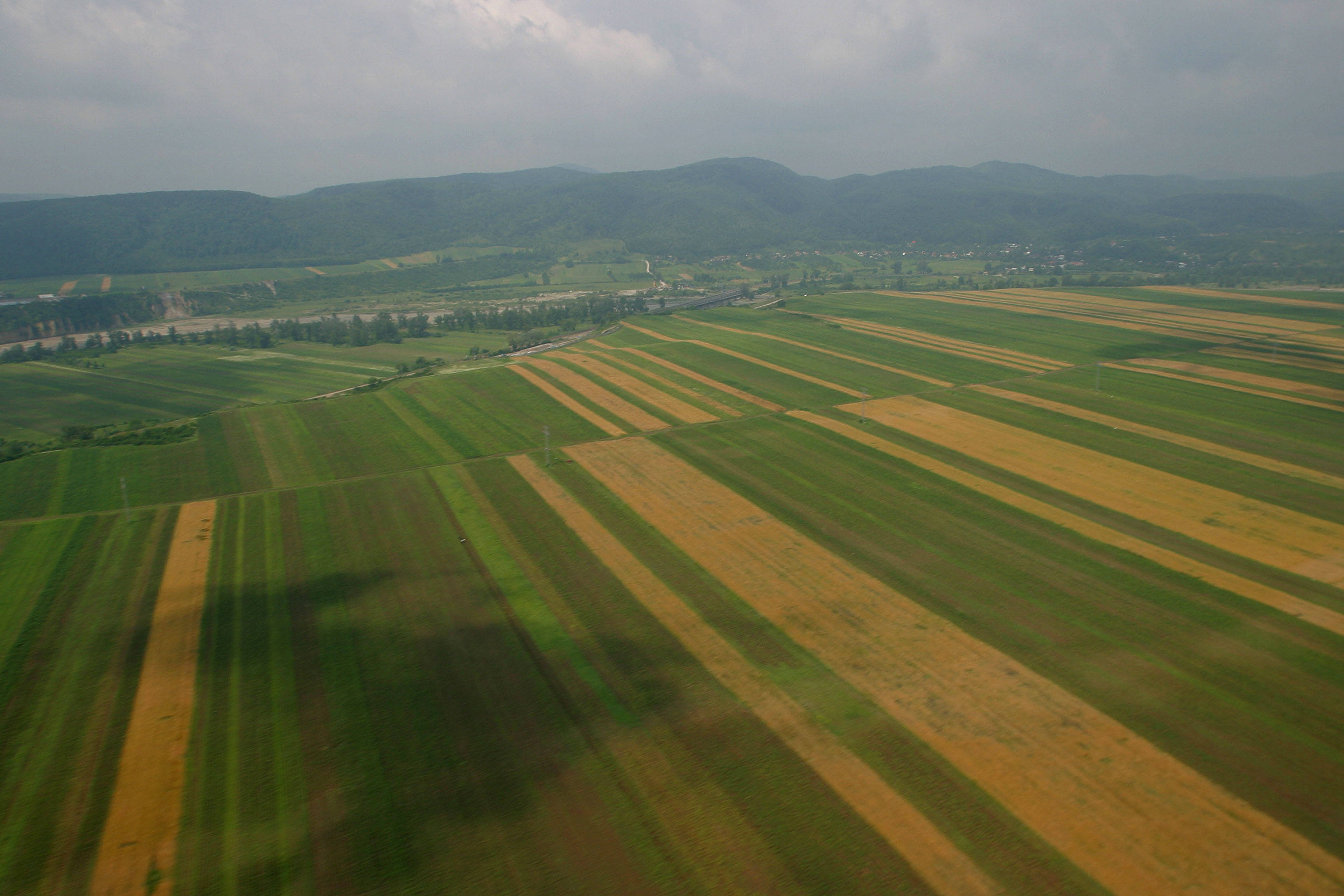 APIA: 116 milioane de euro pentru deţinătorii de teren agricol şi neagricol care vor să împădurească suprafeţe