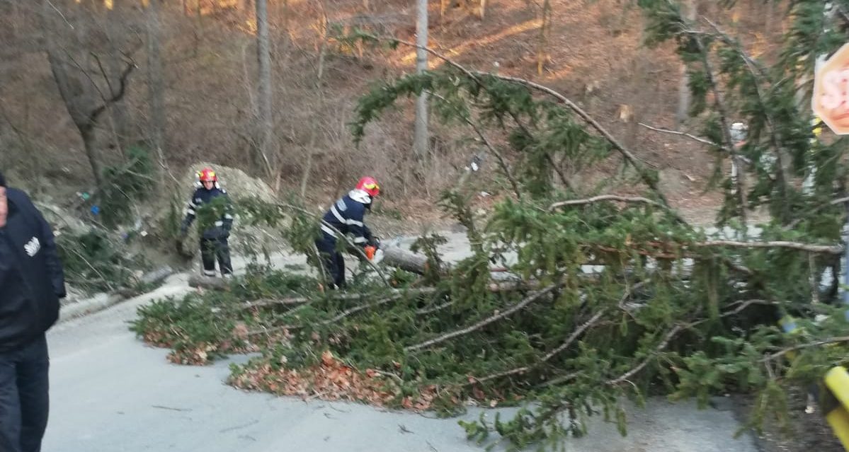 (UPDATE) Neamţ: Vântul puternic a lăsat peste 1.500 de familii fără curent electric şi a doborât mai mulţi copaci