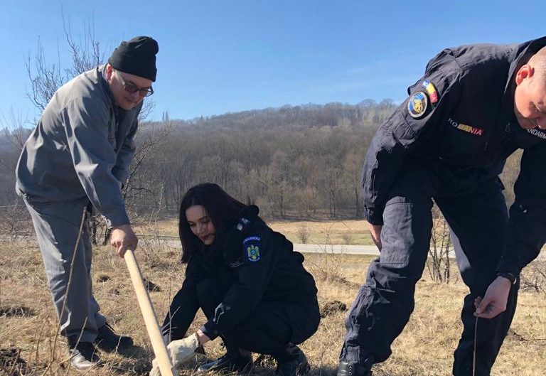 (FOTO) Jandarmii ieșeni au participat la două acțiuni de plantare arbori