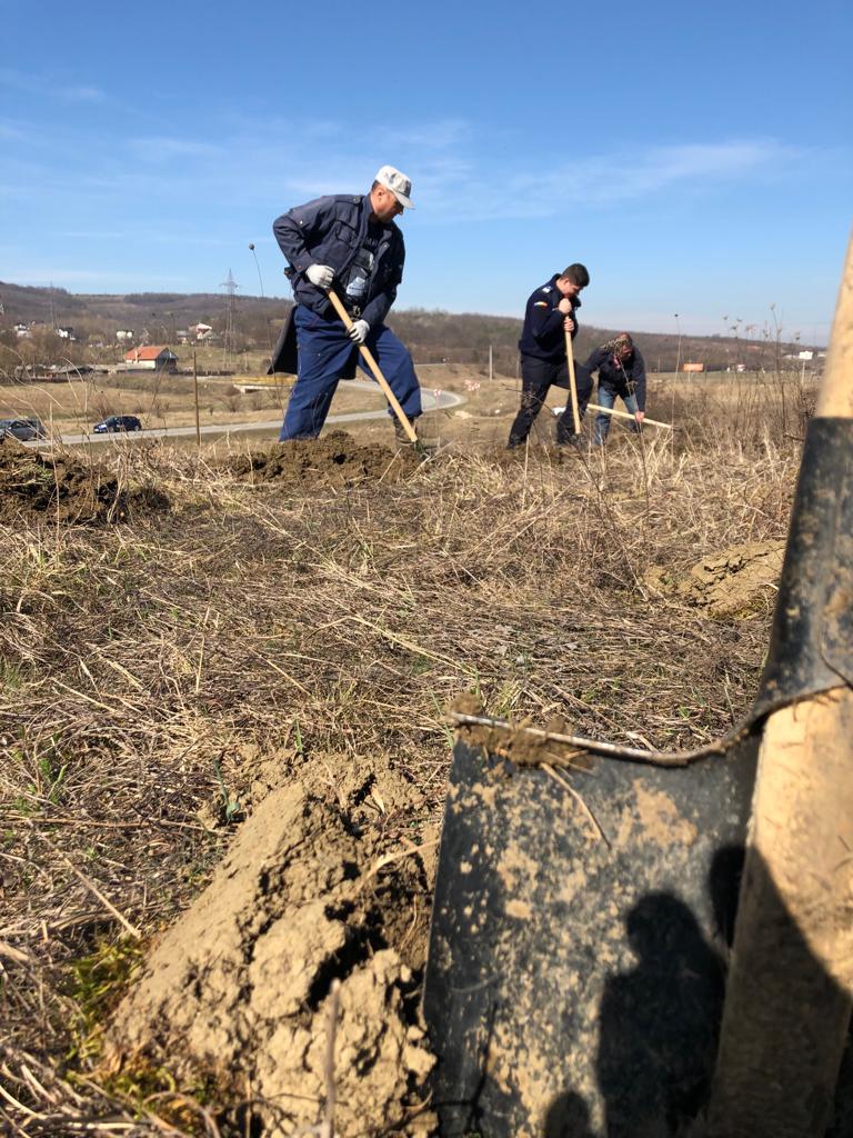 Direcţia Silvică Botoşani organizează activităţi prin care marchează LUNA PLANTĂRII ARBORILOR. Bună Dimineața la Radio Iași