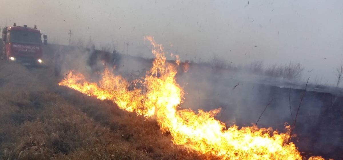 (FOTO) Incendiu de amploare în Vaslui: Pompierii au luptat ore în şir să salveze o pădure de salcâm