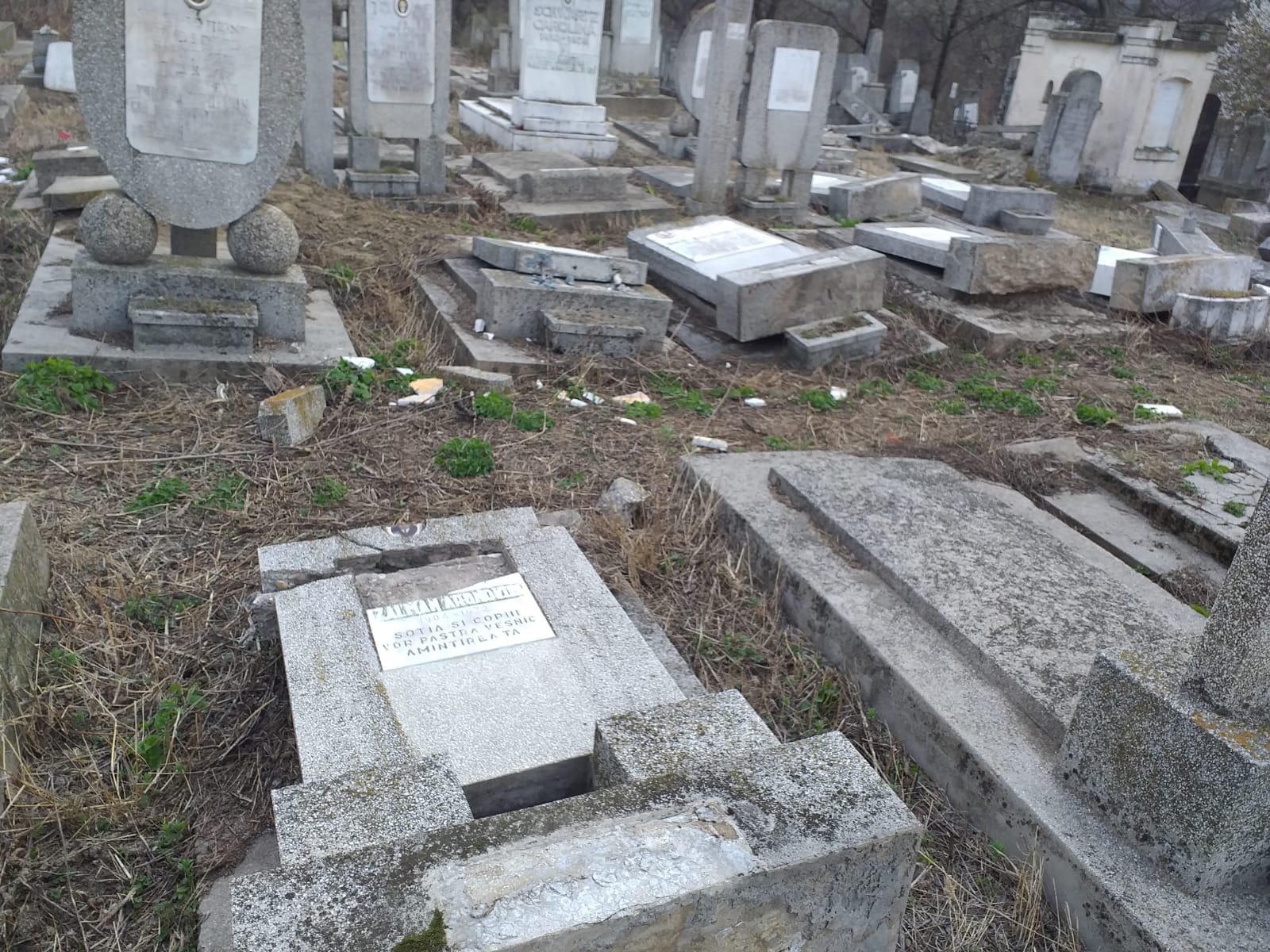 Vaslui: Poliţiştii au identificat 3 minori bănuiţi de distrugerea unor monumente funerare în cimitirul evreiesc din Huşi