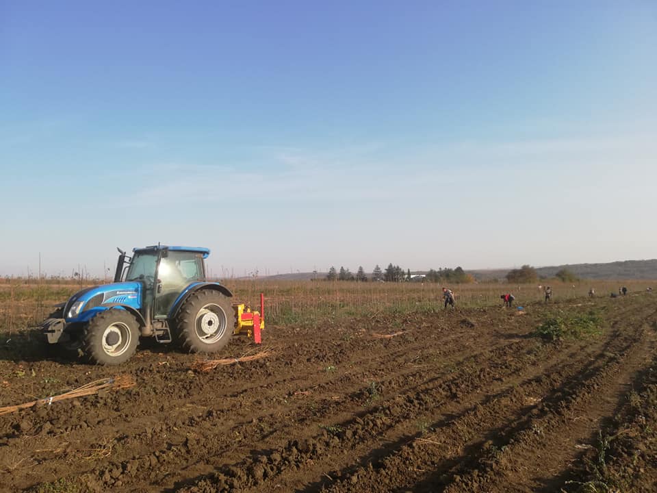 Ucraina interzice exporturile de îngrăşăminte (Ministerul Agriculturii)