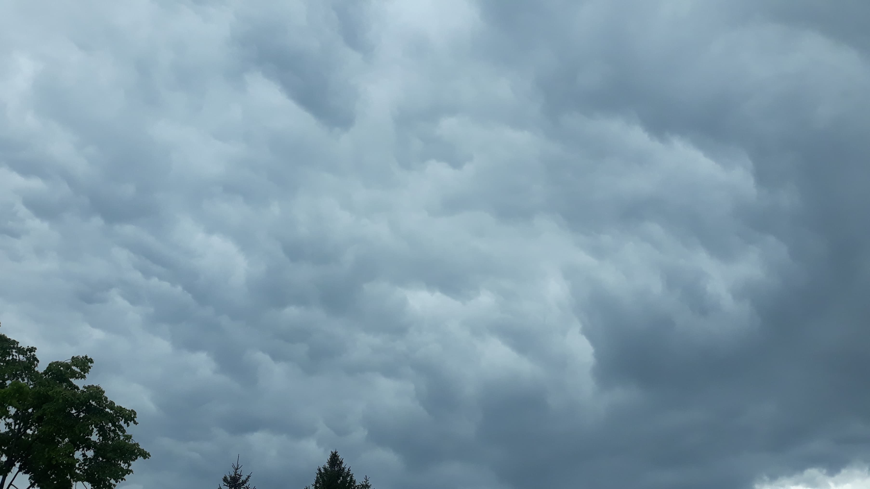 METEO: Informare meteorologică de intensificări ale vântului și zăpadă spulberată