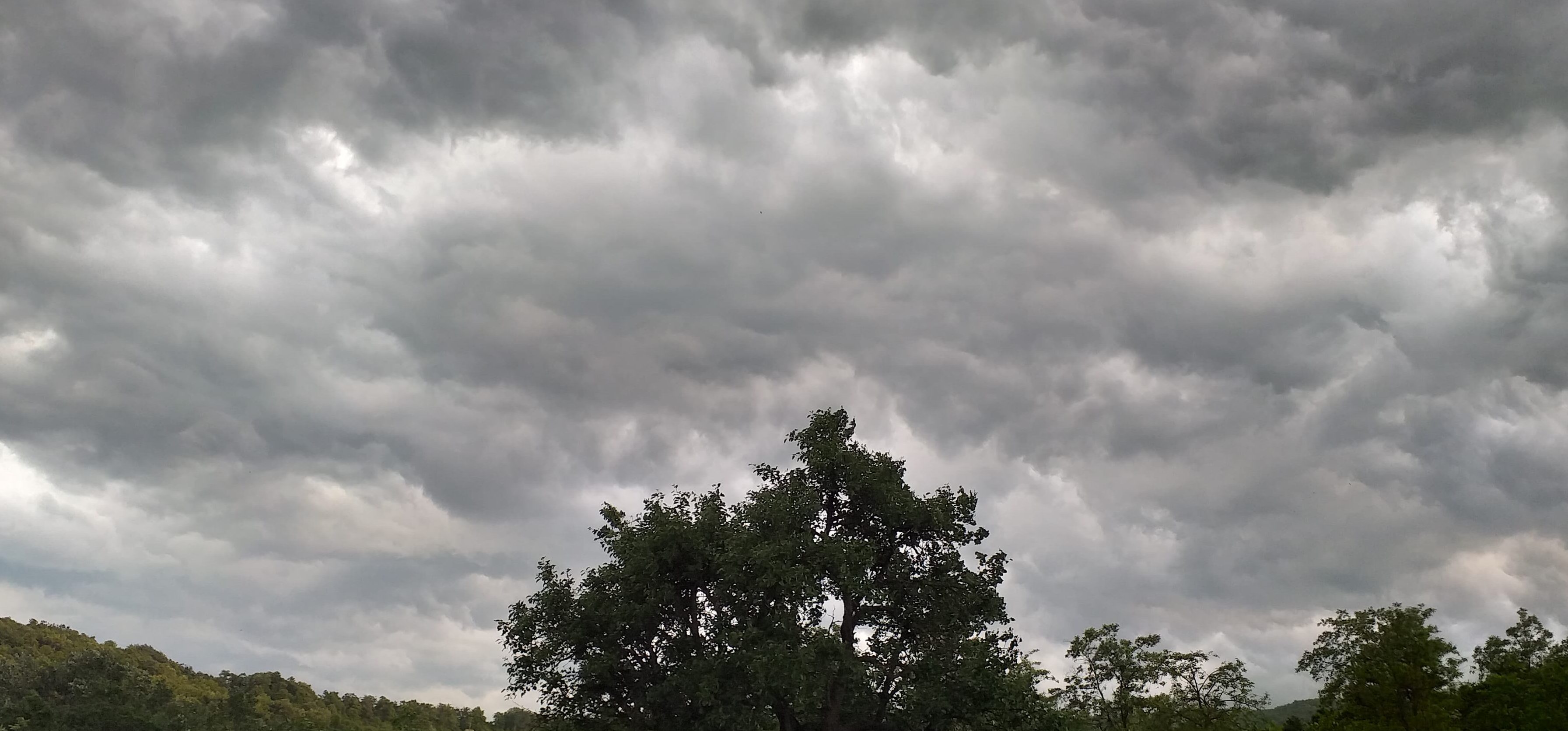 METEO: COD PORTOCALIU de ploi abundente şi vijelii în judeţul Vrancea