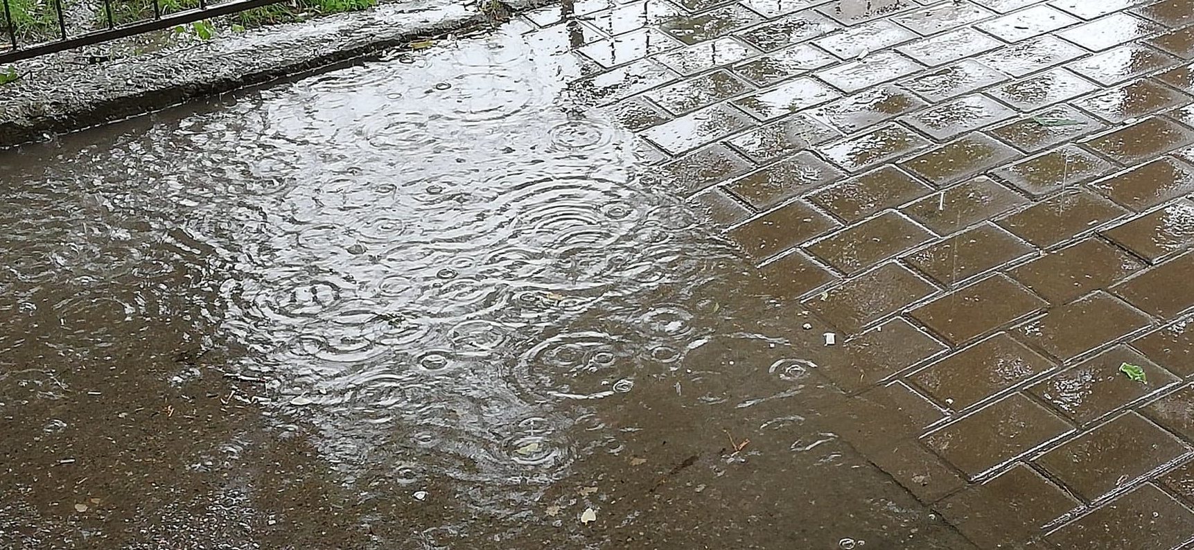 METEO: Averse, descărcări electrice şi vijelii în următoarele zile