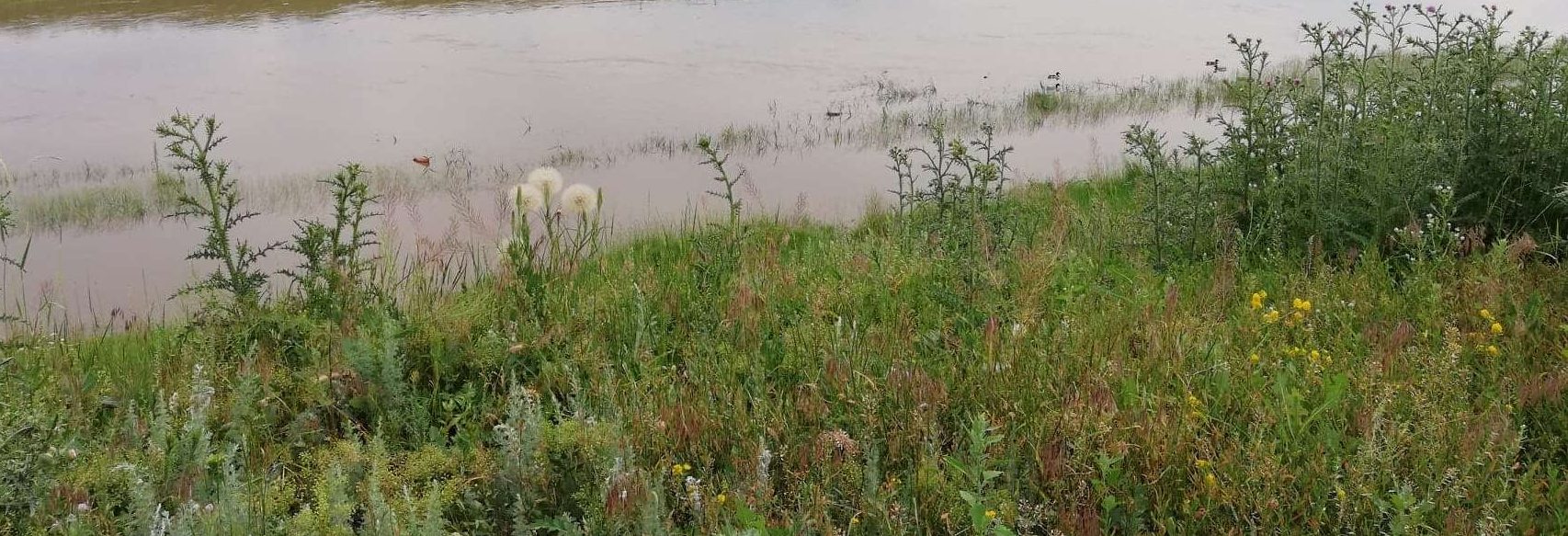 Hidrologi: Cod portocaliu şi Cod galben de inundaţii în 31 de bazine hidrografice