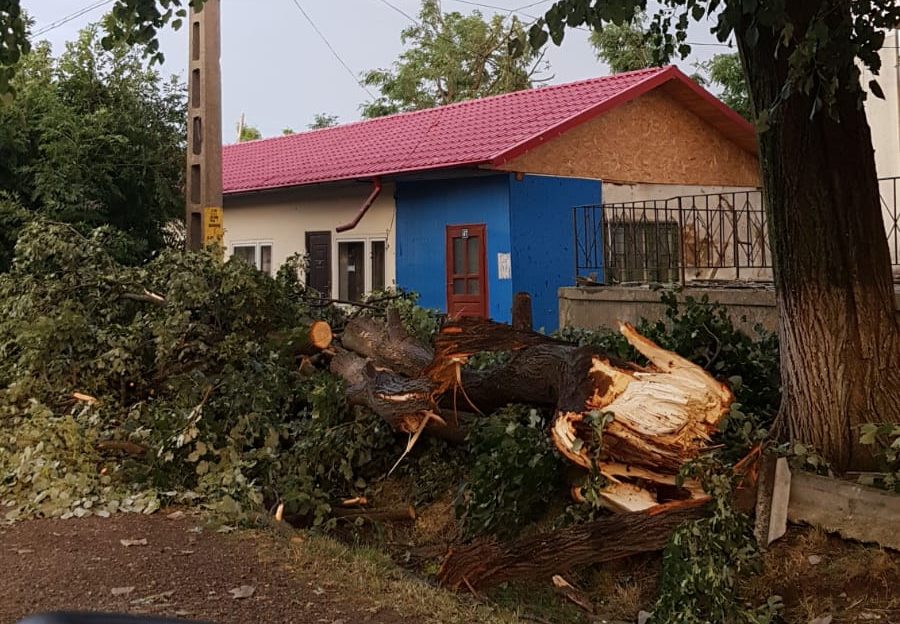 (FOTO) Echipele Delgaz Grid acţionează de mai bine de 24 de ore pentru remedierea avariilor cauzate de furtunile puternice din Moldova