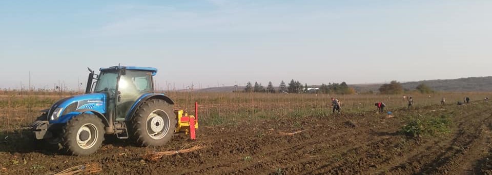 Camera Deputaţilor: Salariul de bază minim brut în domeniul agricol – minimum 3.000 lei lunar