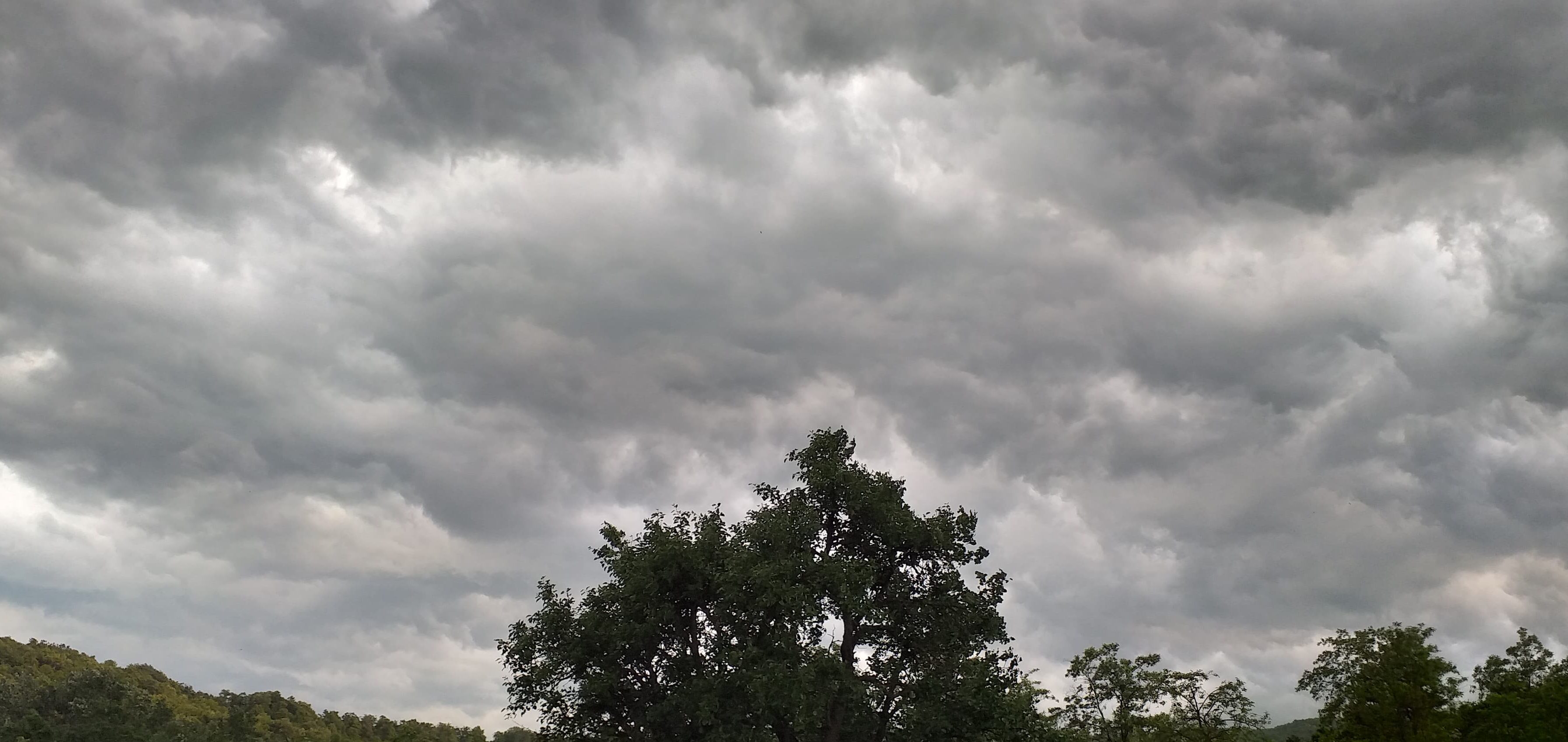 METEO: COD GALBEN de averse torenţiale şi vijelii în zona de munte a judeţelor Suceava, Neamţ, Bacău şi Vrancea