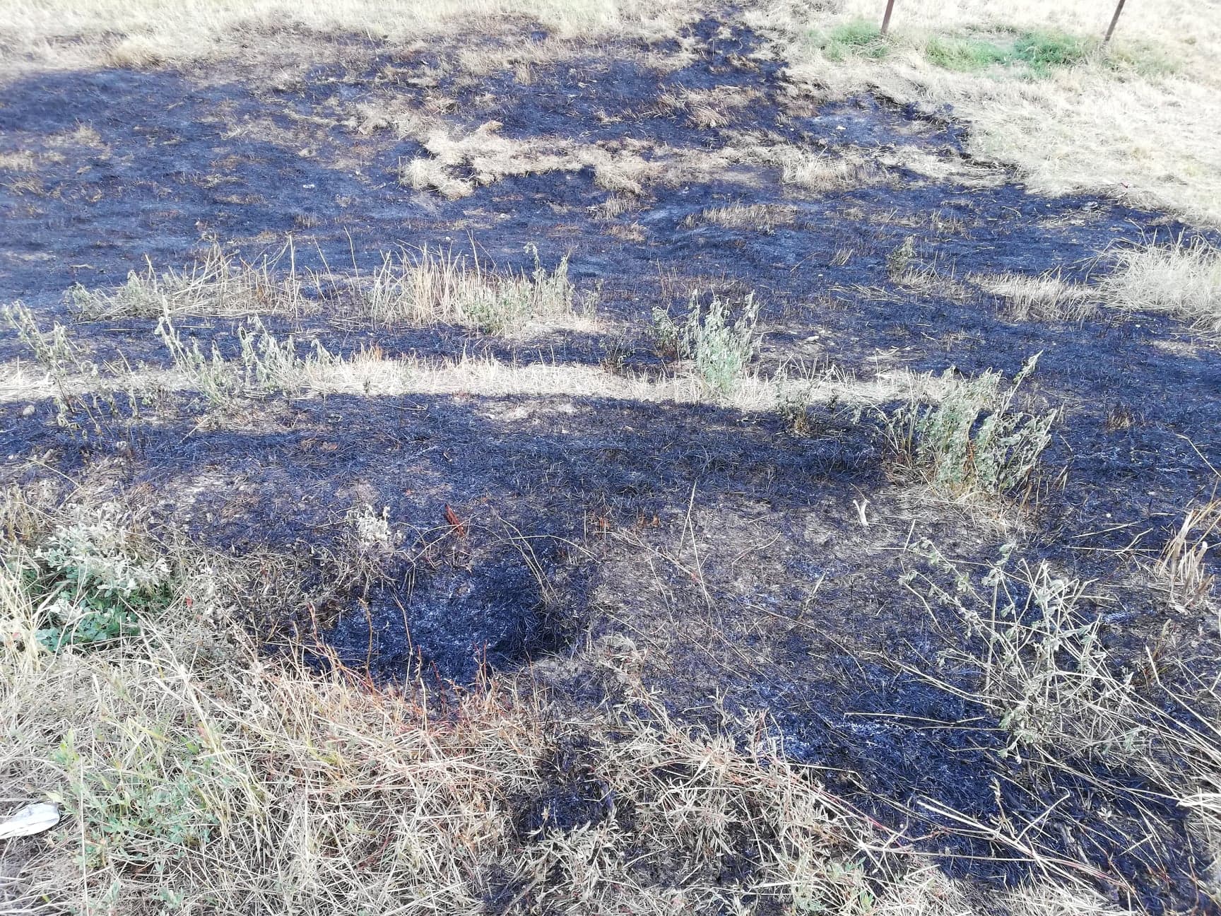 Pompierii îi îndeamnă pe fermieri să nu incendieze vegetaţia uscată