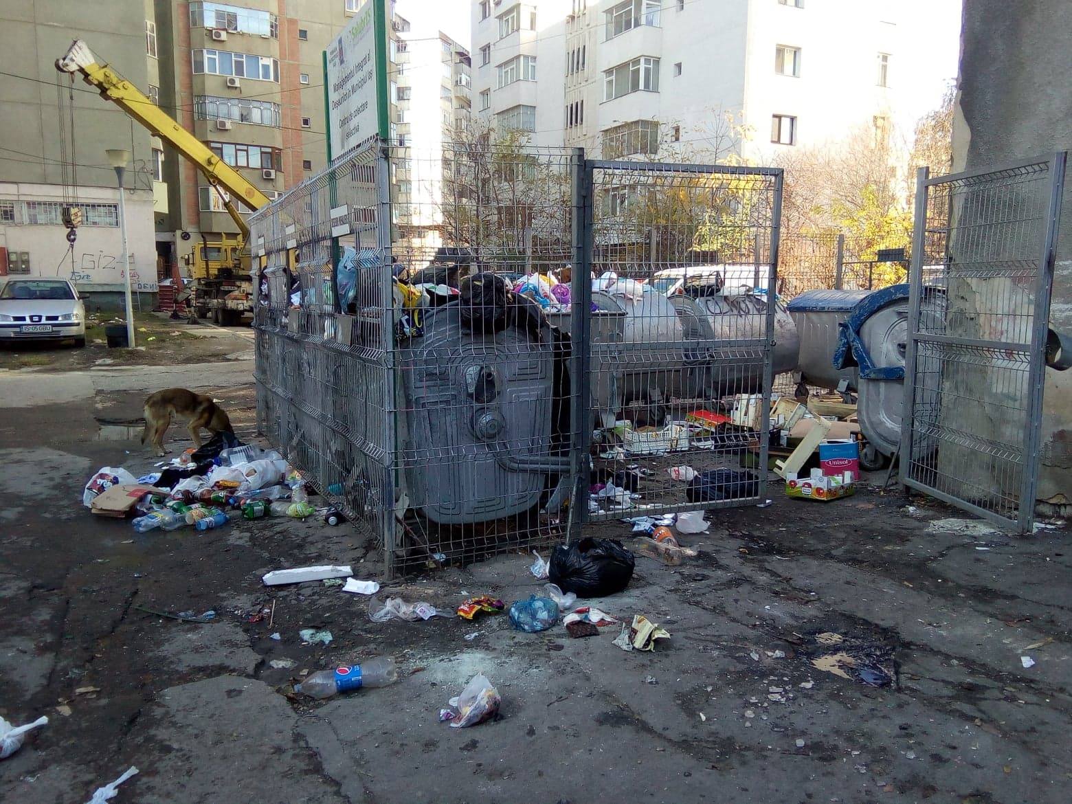 Vaslui: Grad scăzut în judeţ de colectare a deşeurilor reciclabile