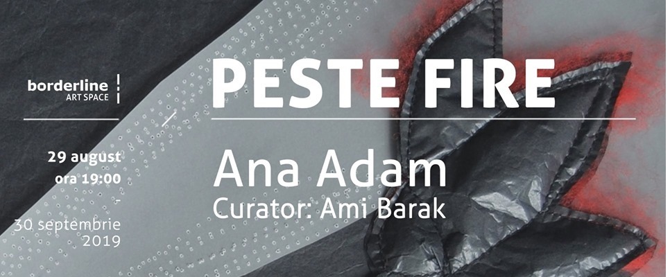 Artistul plastic timișorean Ana Adam, expune la Iași! Bună Dimineața cu Adina Șuhan (29.08.2019)