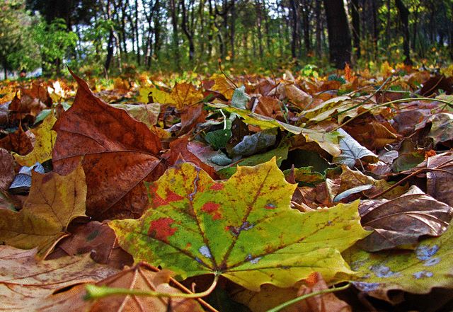 Prognoză meteo: Vreme oscilantă duminică în majoritatea regiunilor