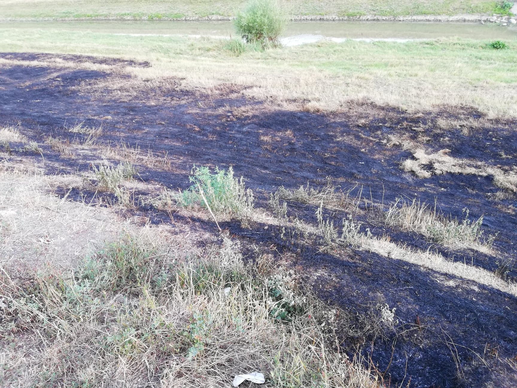 ISU Vaslui: Incendiul de vegetaţie produs în municipiul Bârlad, localizat