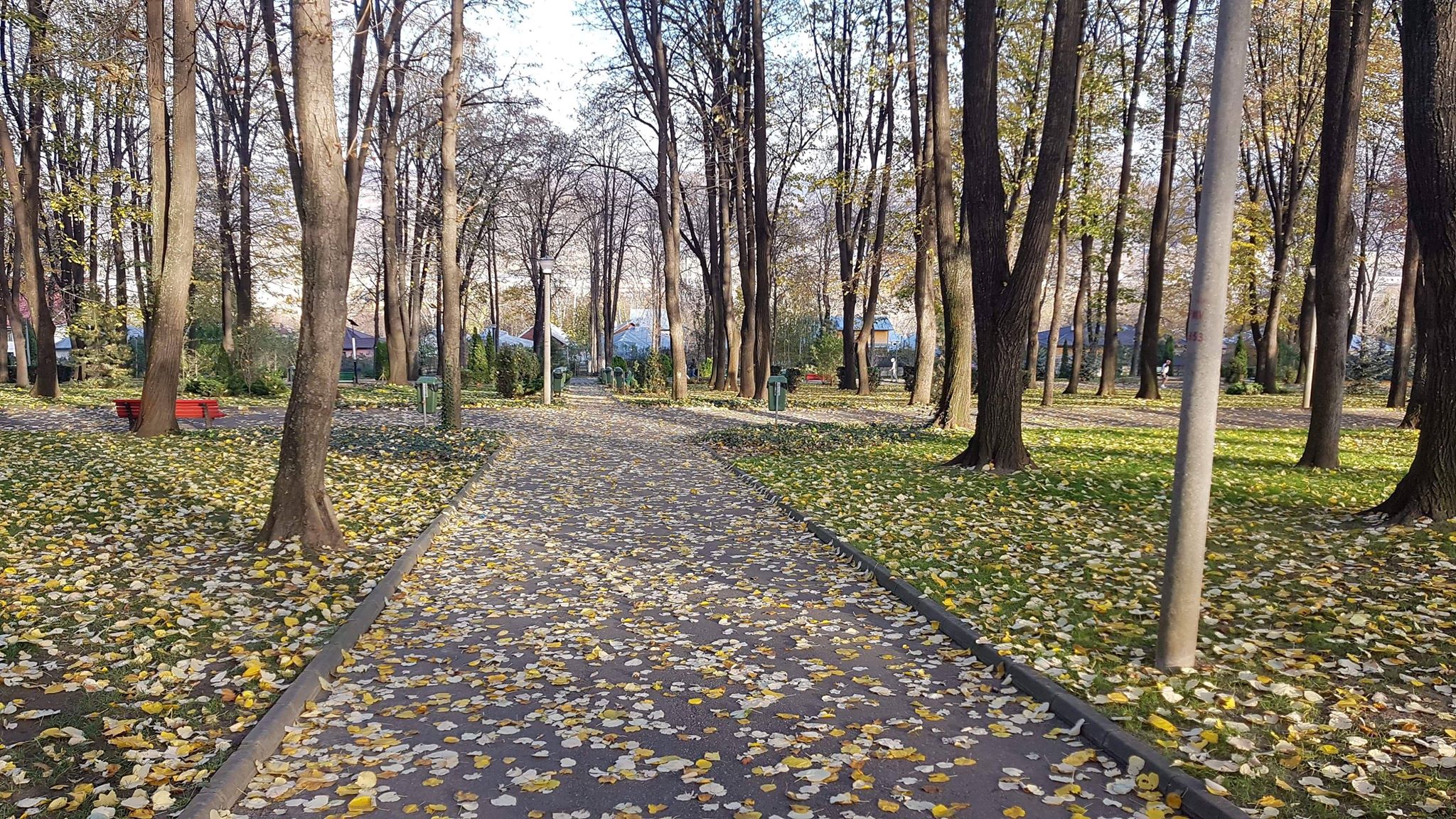 Galaţi: Finanţare europeană de peste 9,5 milioane lei pentru modernizarea Parcului Carol