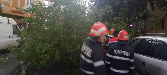 Galaţi: Trei maşini avariate de copaci prăbuşiţi din cauza furtunii