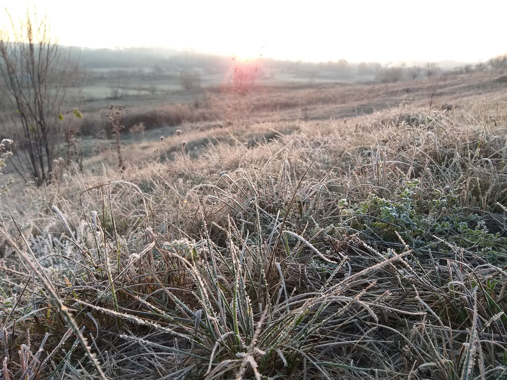 Vreme deosebit de rece, brumă şi îngheţ la sol, până vineri dimineaţa