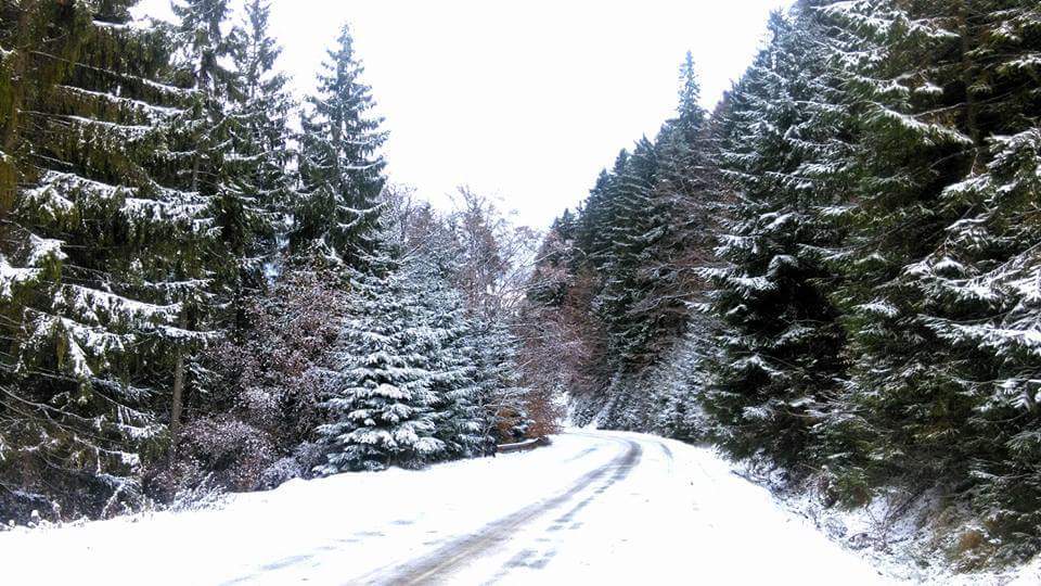 METEO: Atenționare COD GALBEN de viscol și vreme rece în Moldova