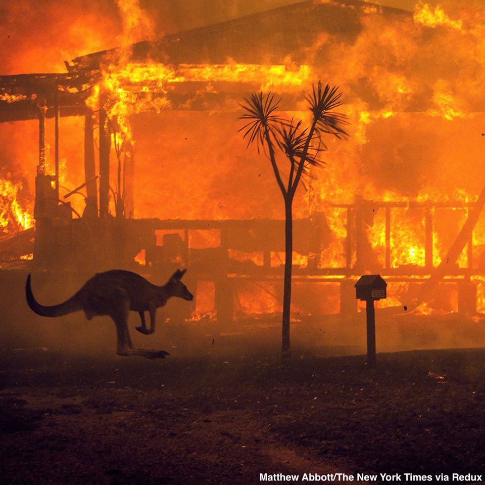 MAE/Atenţionare de călătorie: Australia – incendii de vegetaţie