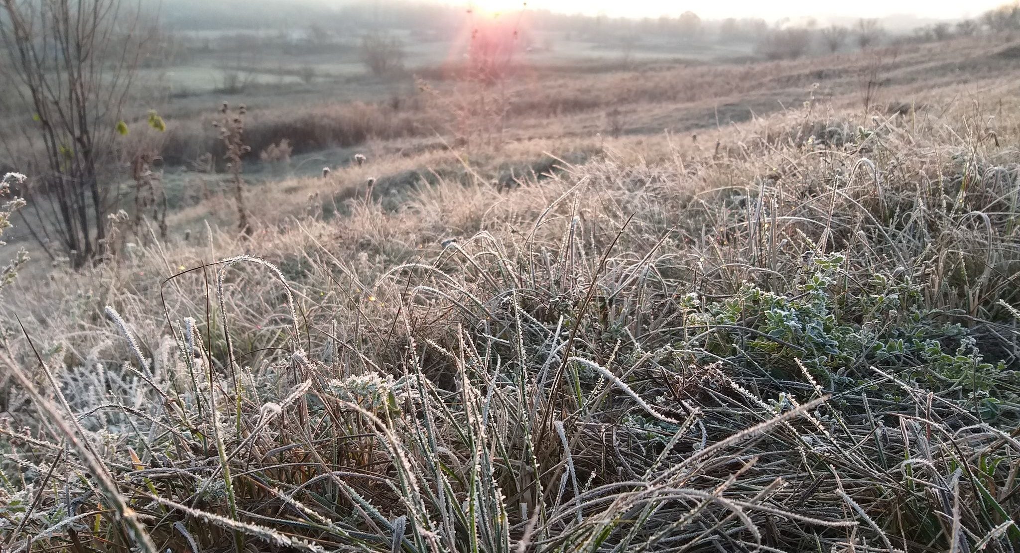 Prognoză meteo de weekend pentru regiunea Moldovei