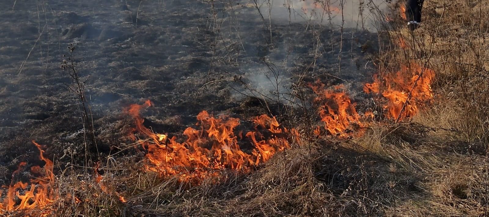 Neamţ: Un incendiu a afectat 24 hectare de păşune şi fond forestier din Poiana Teiului