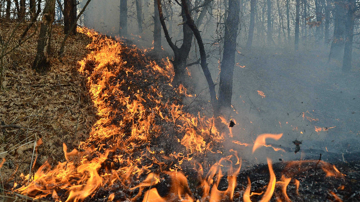 Turcia: Bilanţul victimelor provocate de incendii pe coasta sudică a ţării a crescut la opt