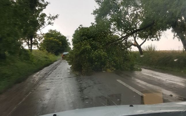 COD PORTOCALIU de vijelie în judeţul Botoşani. Şase localităţi au rămas fără curent electric