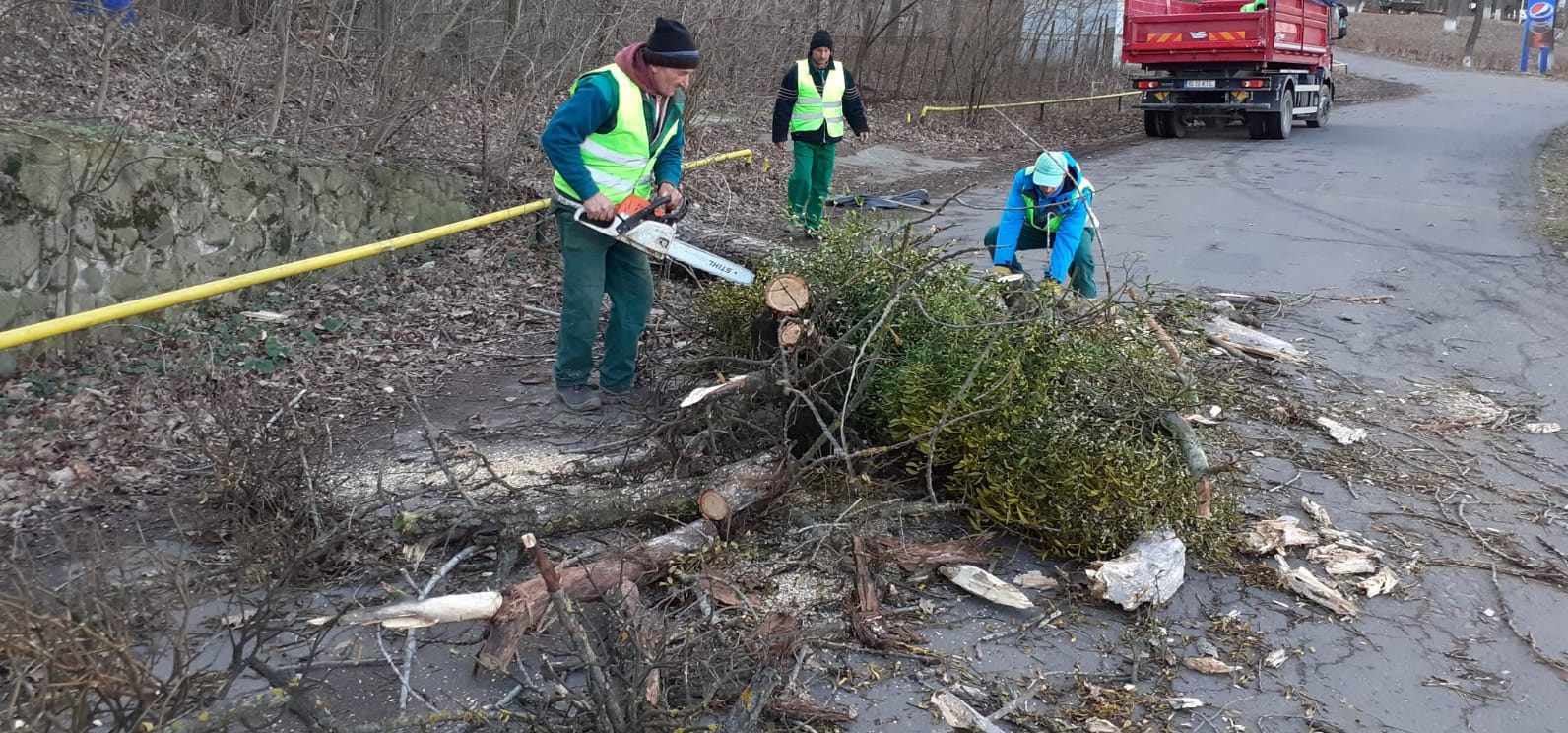 Vrancea: Un acoperiş şi arbori căzuţi peste autoturisme, în urma fenomenelor meteo extreme, la Focşani