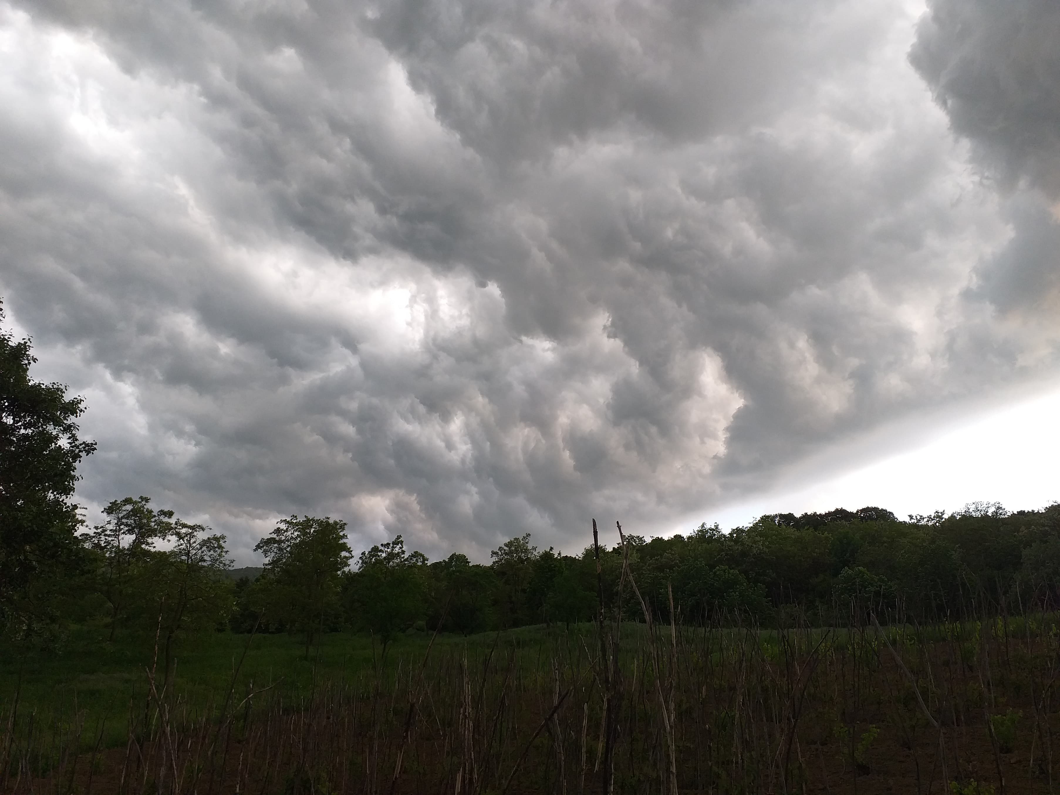 METEO: Atenționare COD GALBEN de vânt în județul Vrancea