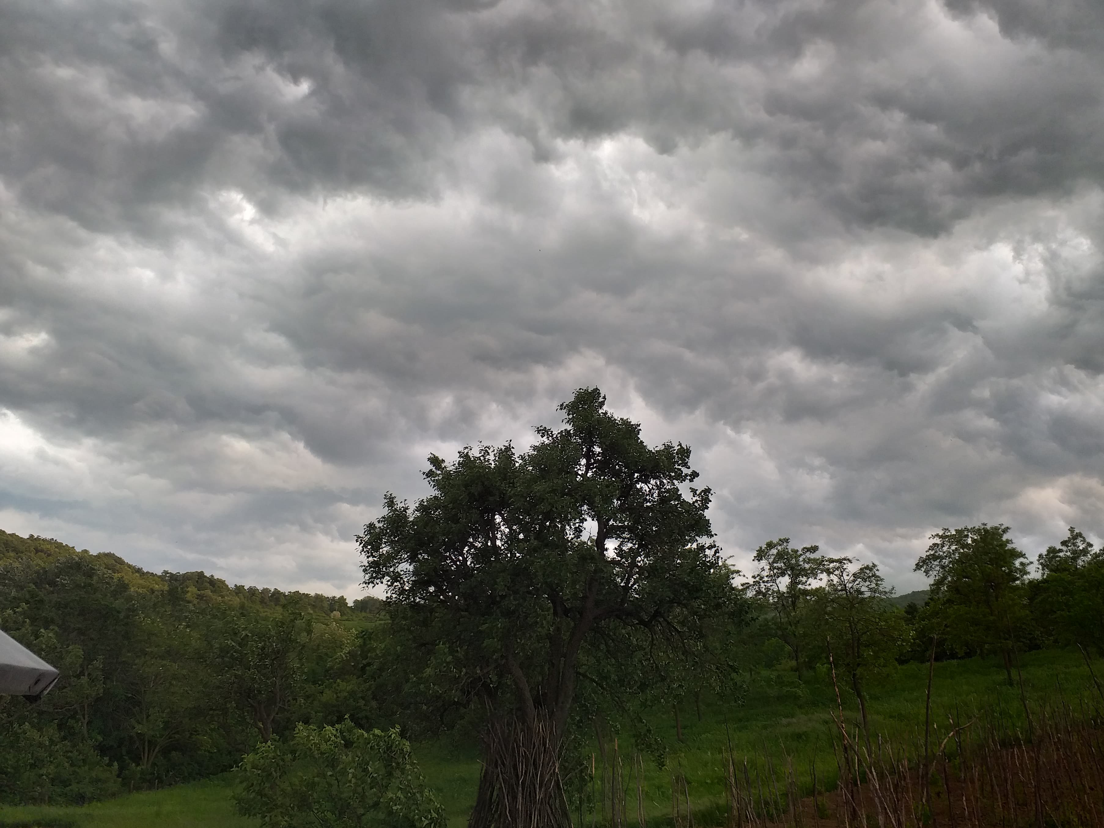 METEO: COD PORTOCALIU de vijelii puternice și ploi abundente în șase județe din Moldova