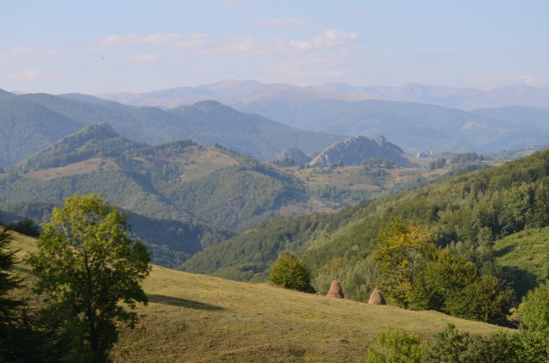 „Pământul, eroul meu”