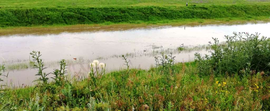 INHGA: Cod galben de inundaţii în bazinul hidrografic Dorna, din judeţul Suceava