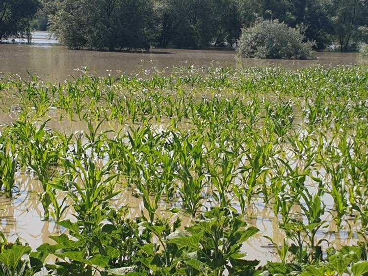 Cod portocaliu de inundaţii în 12 judeţe; Cod galben în 33 de judeţe, până sâmbătă