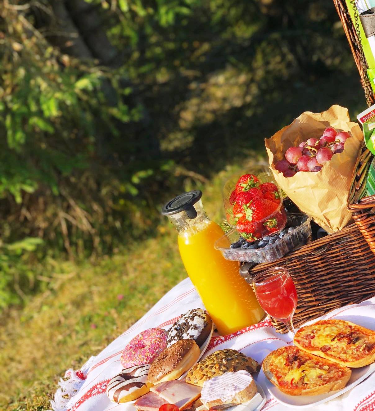 Ziua Internaţională a Picnicului – preparate de luat la iarbă verde