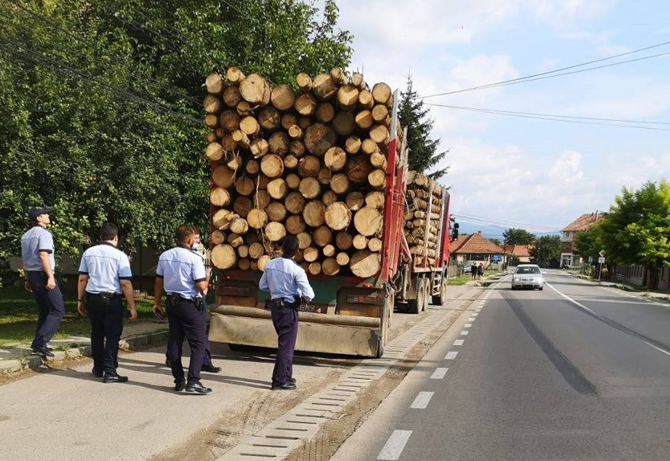 Material lemnos în valoare de aproape 800.000 de lei, confiscat de poliţişti