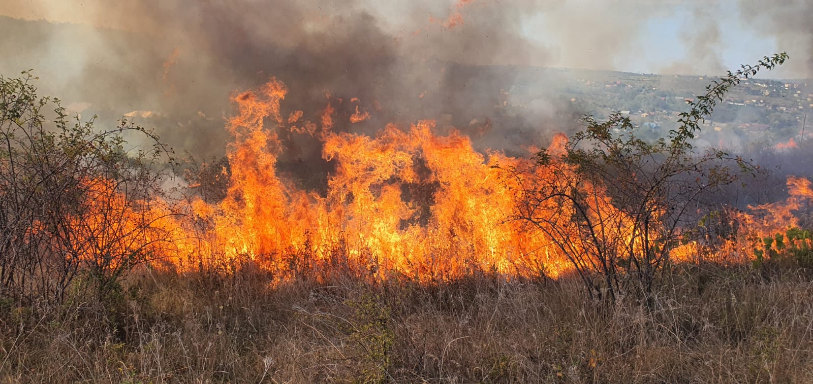 Incendii de vegetaţie uscată în două zone limitrofe ale municipiului Vaslui