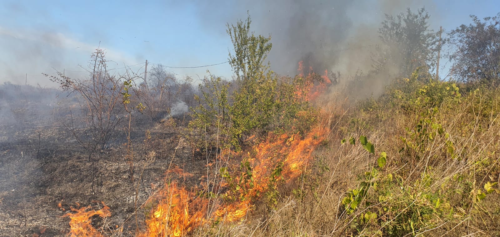 Ministrul Mediului a solicitat intensificarea patrulărilor în fondul forestier,pentru identificarea unor eventuale focare şi surse de foc