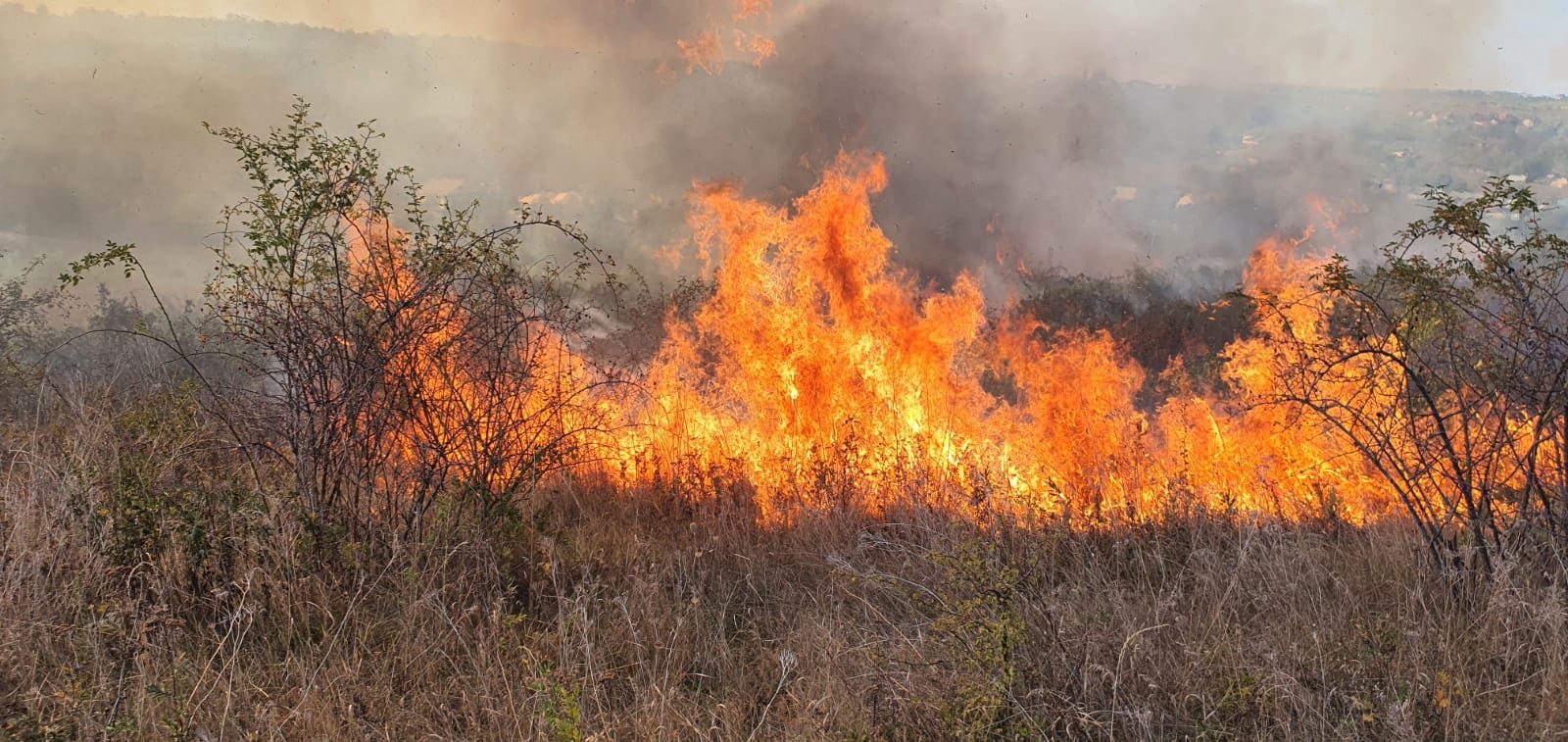 Judeţul Vaslui s-a confruntat, în ultima perioadă, cu mai multe incendii de vegetaţie