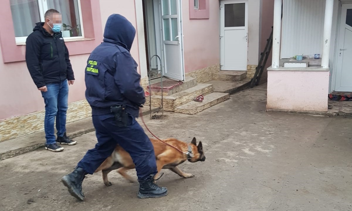 Poliţiştii au făcut 15 percheziţii în judeţele Botoşani şi Suceava la contrabandişti cu ţigări