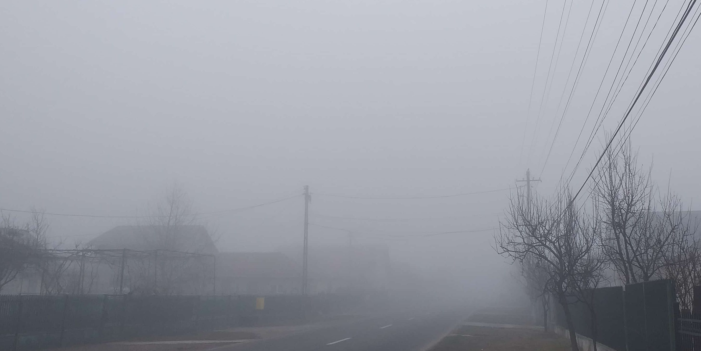 METEO: Atenționare COD GALBEN de ceață în județele Bacău, Neamţ, Vrancea