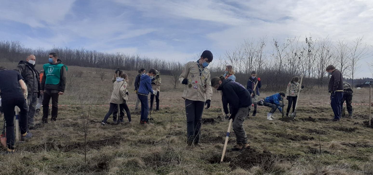 (AUDIO/FOTO) Iași: Împădurirea – o soluție pentru multe dintre problemele unui oraș mare