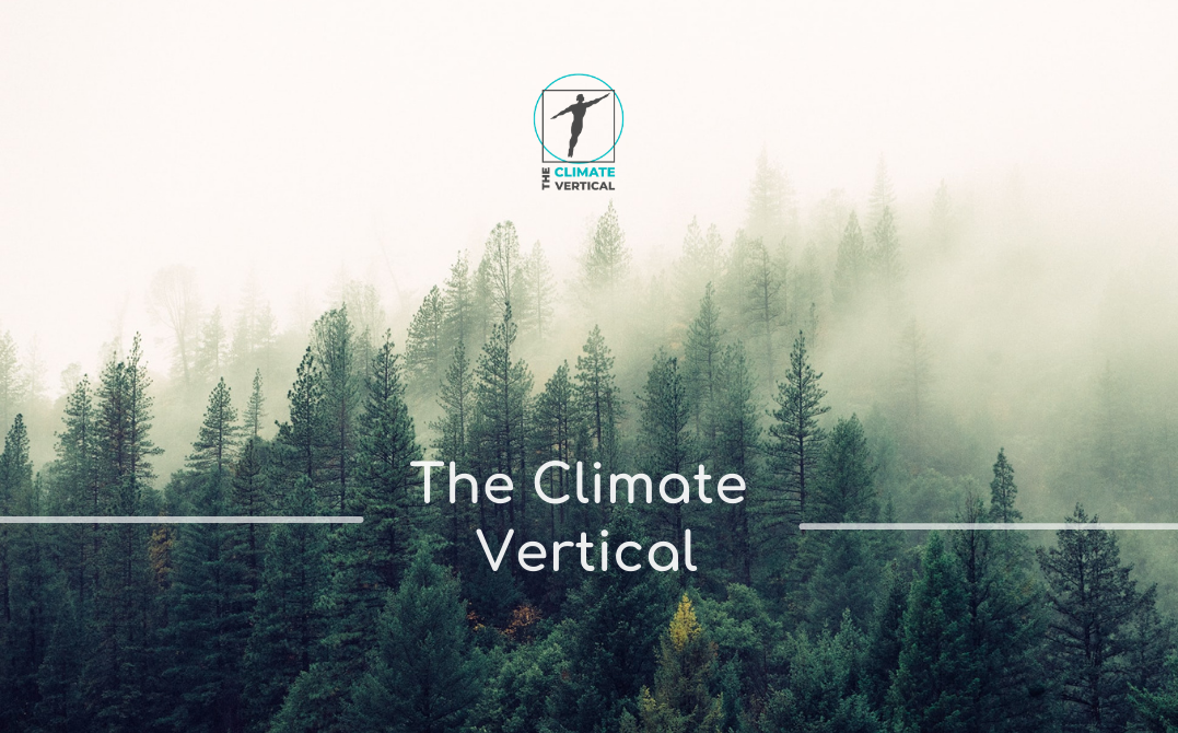 The Climate Vertical: o inițiativă pentru România, din dragoste față de natură