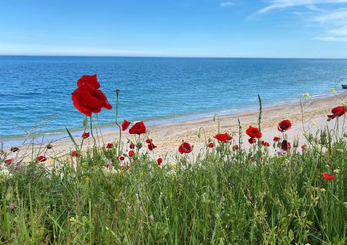 Studiu: Un român rezervă în fiecare minut o vacanţă la Marea Neagră