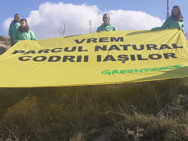 (AUDIO/FOTO) Greenpeace România și Codrii Iașilor, declarații privind înființarea Parcului Național Codrii Iașilor