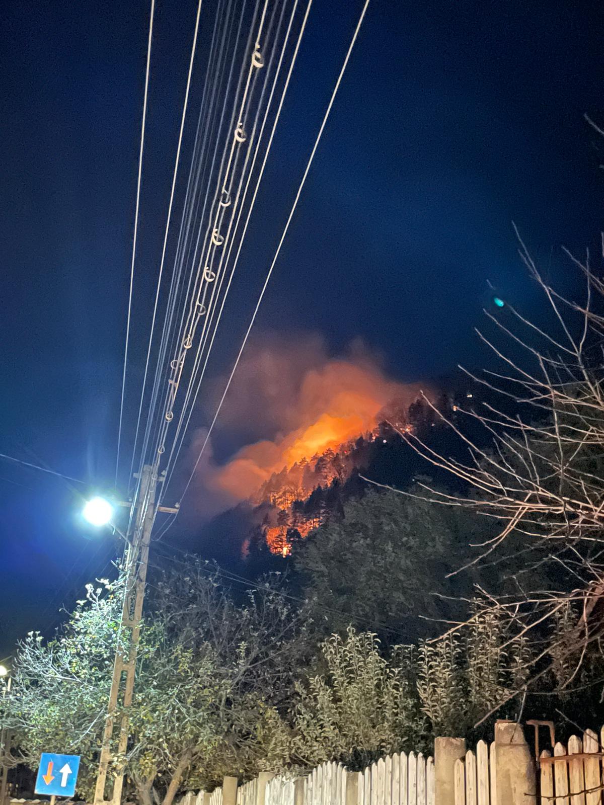 (FOTO/VIDEO) BACĂU: Incendiu în pădurea de la Oituz