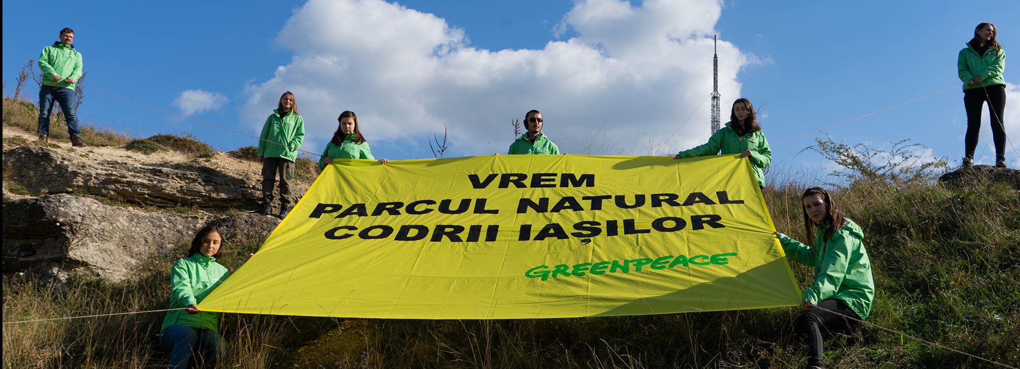 (AUDIO/FOTO) Ciprian Gălușcă (Greenpeace): „Înființarea unui Parc Natural înseamnă democratizarea pădurii” – IMPERATIV cu Ioana Soreanu (08.10.2021)