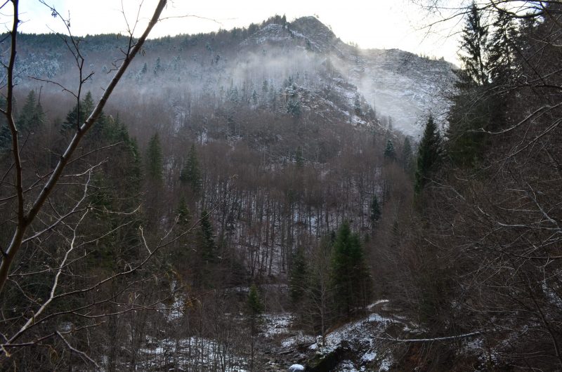 „Cheile Tișiței”